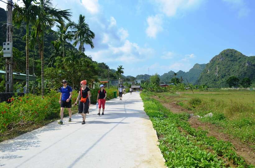 Fullday Trekking in Cat Ba National Park to Viet Hai Village - Sailing back through Cai Beo fishing village and the Tonkin Gulf