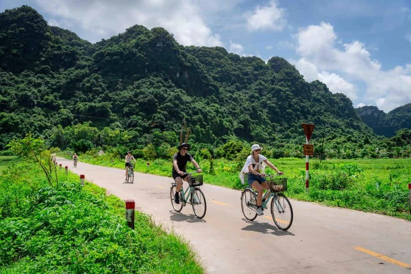 Fullday Trekking in Cat Ba National Park to Viet Hai Village - Getting to the forest: pickup, transport, and your first trail views