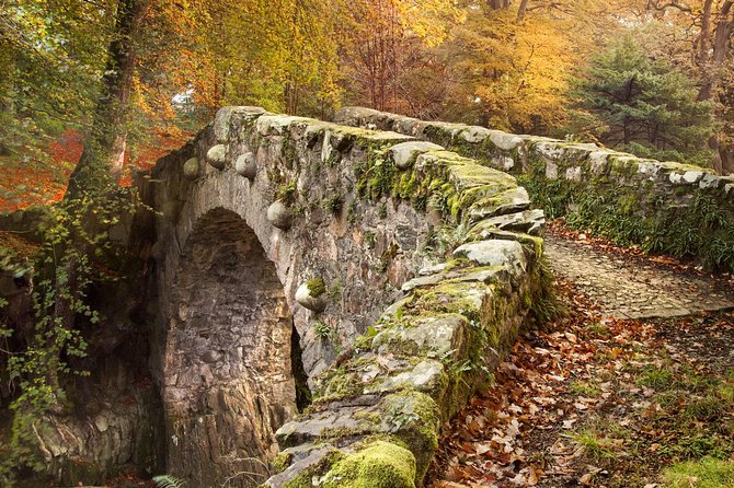 Game of Thrones - Tollymore Forest Trek - Checkpoint Three: The Direwolf Bridge Moment