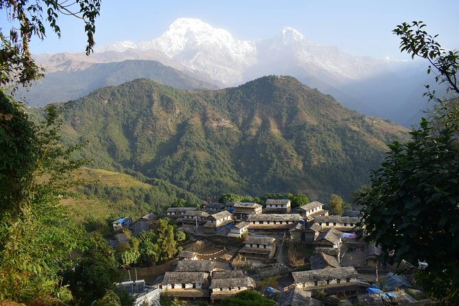 Ghorepani Ghandruk Wellness Yoga Trek - Day 2: Kathmandu temples and shopping for the trek ahead