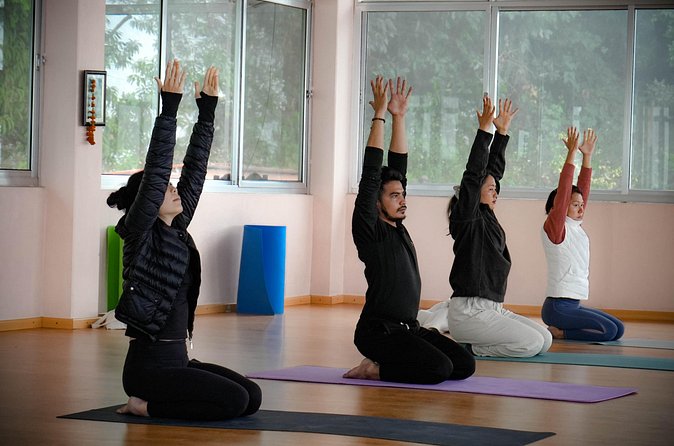 Ghorepani Ghandruk Wellness Yoga Trek - Day 6: Ghorepani to Ghandruk with village recovery time