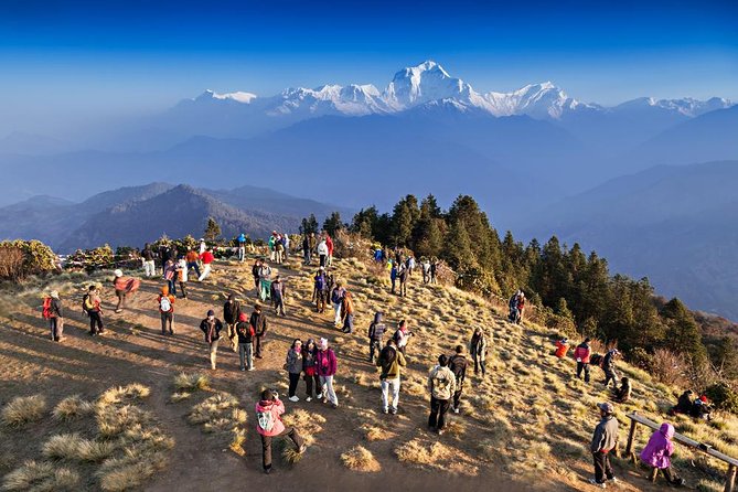 Ghorepani Poon Hill Sunrise Trek - Key Highlights Worth Mentally Booking