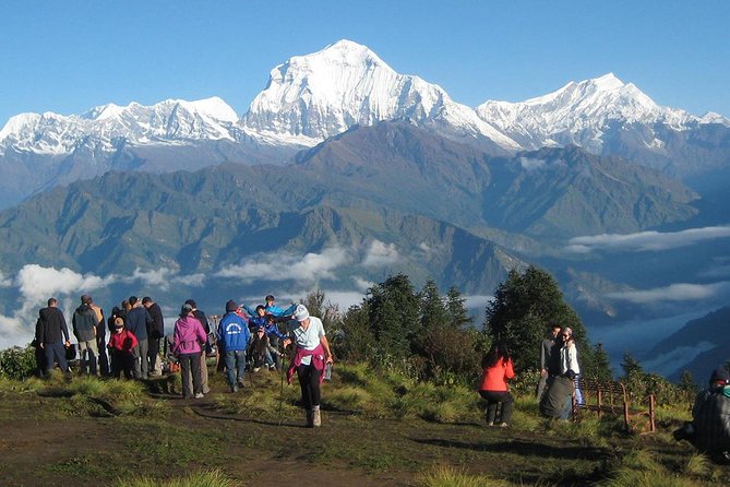 Ghorepani - Poon Hill Trek 3N-4D - The overall vibe: a short trek with real altitude rewards