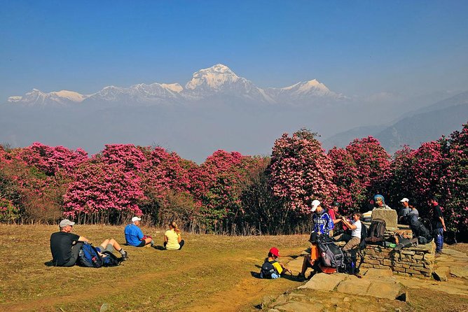 Ghorepani Poon Hill Trek - Day 1 to Ulleri: village stairs, early altitude vibes