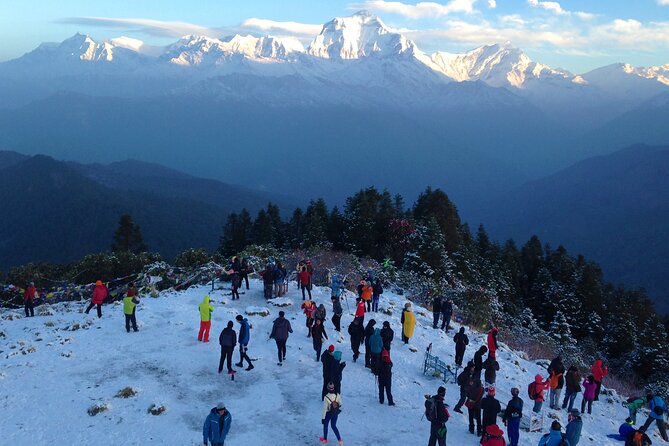 Ghorepani - Poon Hill Trek – 5 DAYS - Ulleri Stairs and Rhododendron Forests to Ghorepani