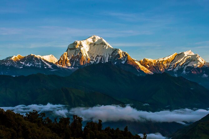 Ghorepani - Poon Hill Trek – 5 DAYS - Tea Houses, Shared Bathrooms, and the Meals You Actually Get