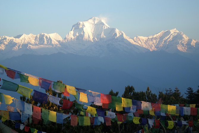 Ghorepani Poon Hill Trek - Day 2 from Ulleri through Bhanthati and alpine forest air