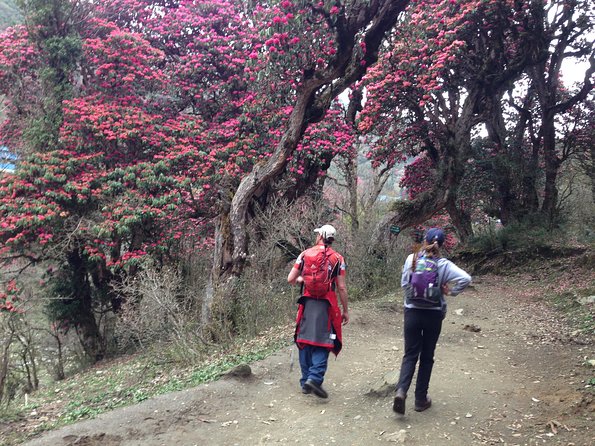 Ghorepani Poon Hill Trek - Price and value: what $399.67 covers and what to budget for