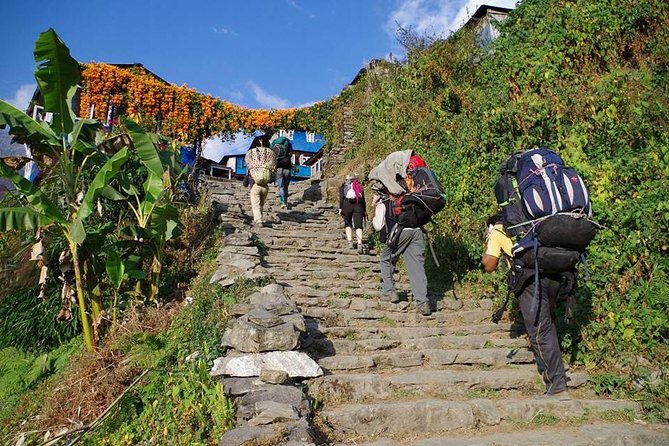 Ghorepani Poon Hill Trekking - Poon Hill trek from Pokhara: what this 4-day plan really gives you