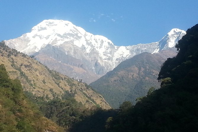 Ghorepani Poon Hill Trekking - Day 4: the Ghandruk descent and the village you end up remembering