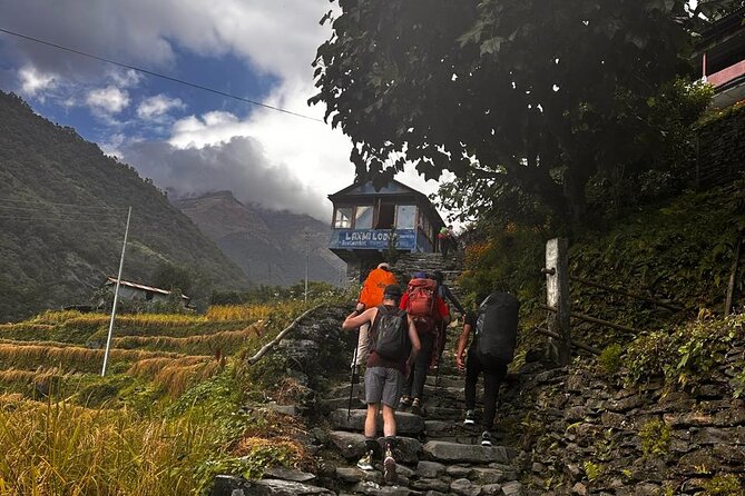 Ghorepani Poonhill Private Trek - 2 nights / 3 days - Why the sunrise hike to Poon Hill matters