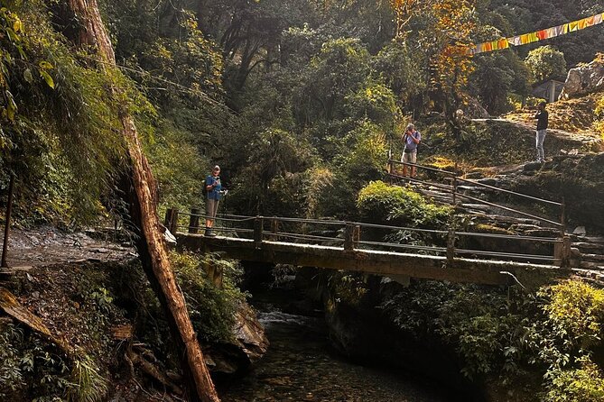 Ghorepani Poonhill Private Trek - 2 nights / 3 days - Returning to Pokhara: Ulleri to Pokhara by bus