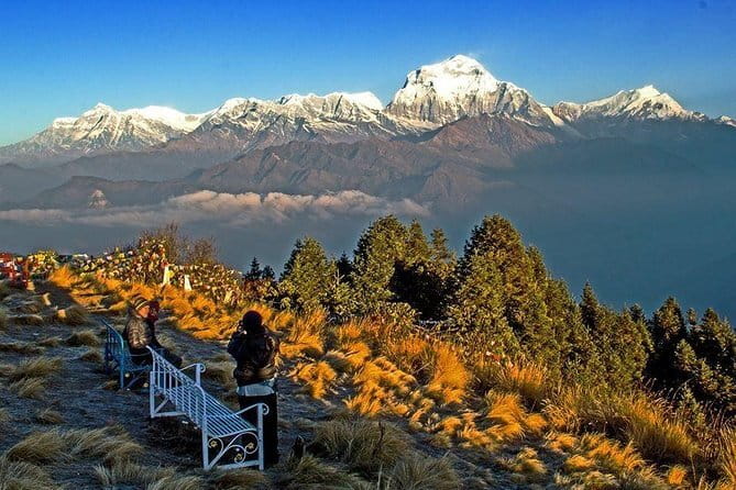 Ghorepani(Poonhill Trek) - Why this Ghorepani (Poonhill) trek feels like a smart Annapurna intro