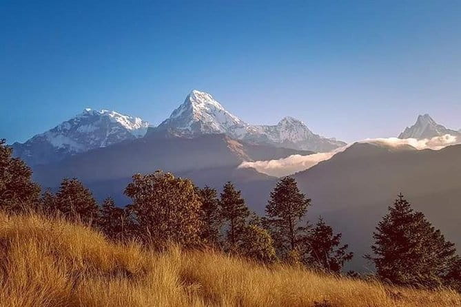 Ghorepani(Poonhill Trek) - Food choices: veg or non-veg and meal coverage you can count on