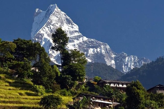 Ghorepani Poonhill Trek -8 Days - Ghandruk day: an easier walk with real village time