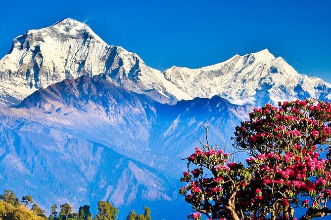 Ghorepani Poonhill Trek -8 Days - The return to Kathmandu: Manakamana cable car and scenic stops