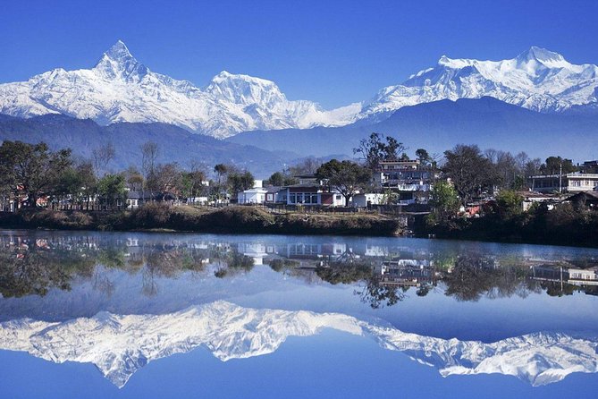 Ghorepani Poonhill Trek -8 Days - Your guide and porter support: what the reviews highlight