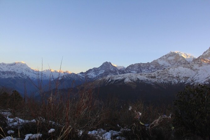 Ghorepani Poonhill Trek from Pokhara - 4 Days - FAQ