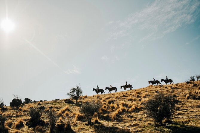 Gold Discovery Trail Horse Trek Cardrona - Most popular! - Key things to know before you saddle up