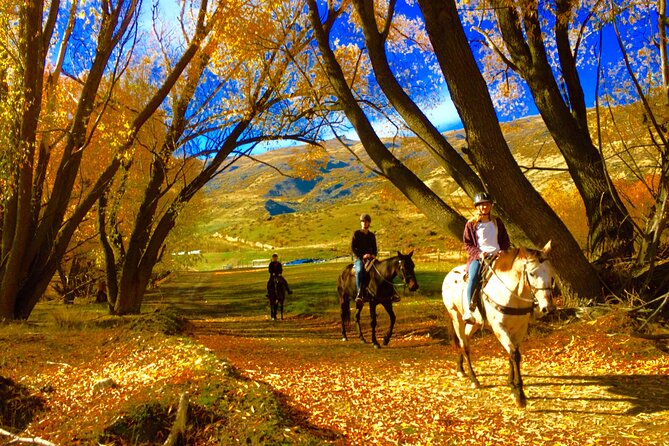 Gold Discovery Trail Horse Trek Cardrona - Most popular! - Meeting Point to First Steps: What Happens When You Arrive