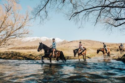 Gold Discovery Trail Horse Trek Cardrona - Most popular! - Price, Timing, and Group Size That Keep It Personal