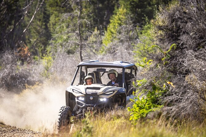 Gold Discovery Trail Horse Trek Cardrona - Most popular! - Getting Matched and Feeling Safe on Beginner-Friendly Horses