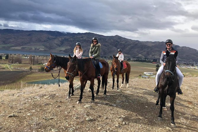 Golden Hills Horse Trek in Central Otago - Golden Hills Horse Trek at a Glance: the big wins and what to watch