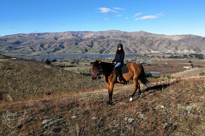 Golden Hills Horse Trek in Central Otago - Why Central Otago’s Top Hill Trek is such a smart horse-ride choice