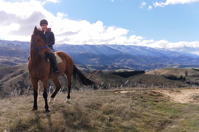 Golden Hills Horse Trek in Central Otago - The ride itself: orchards, hills, and that relaxed pace that makes the views better