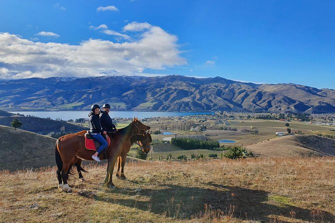 Golden Hills Horse Trek in Central Otago - Practical reality check: what to bring and how to make it easy on yourself