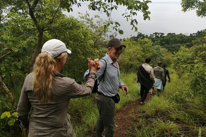 Gombe National Park Chimpanzee Trekking - Gombe Stream National Park: The Lake Tanganyika Edge