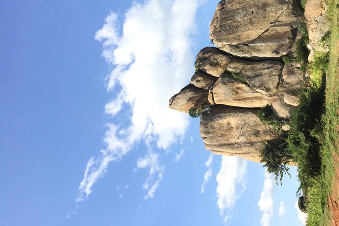 Gorilla trekking - Who This Tour Fits Best (And Who Might Want Another Option)