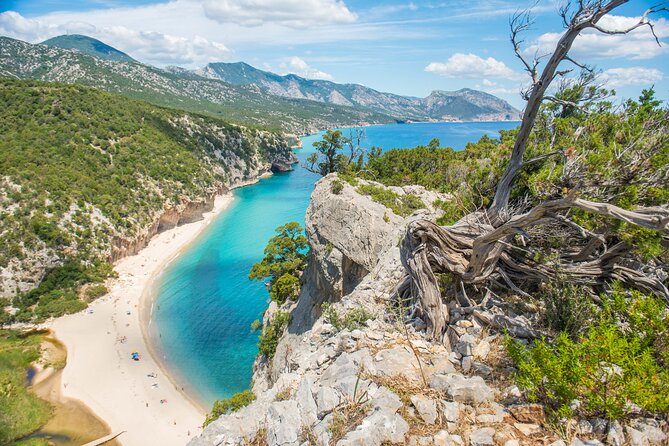 Guided hike to Cala Luna, the pearl of the Gulf of Orosei - Key Highlights You’ll Care About