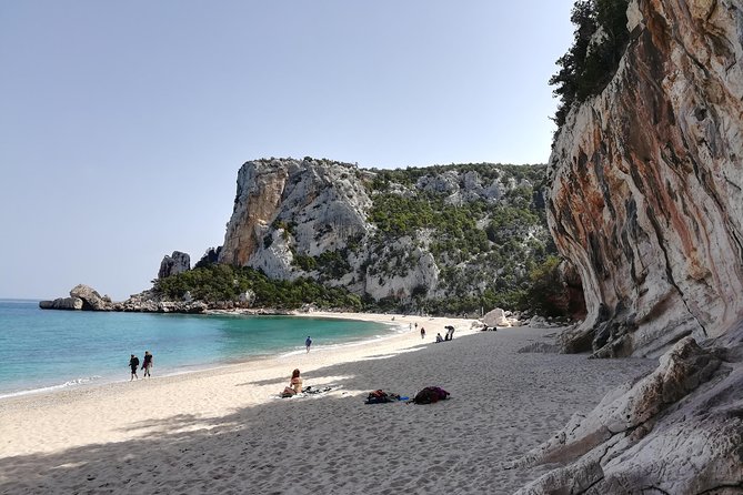 Guided hike to Cala Luna, the pearl of the Gulf of Orosei - The Gorge Descent: Giant Junipers and Mediterranean Scrub