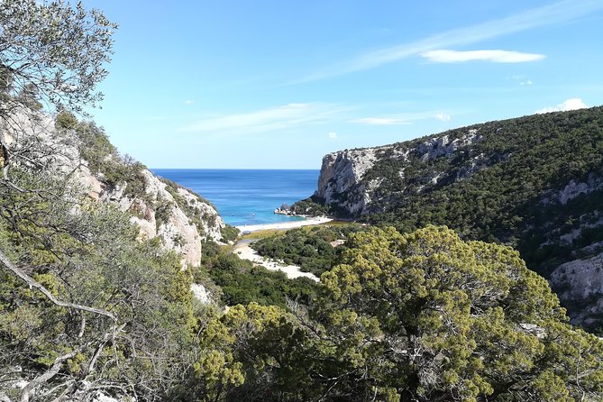 Guided hike to Cala Luna, the pearl of the Gulf of Orosei - Cala Luna Time: Swim, Photos, and a Real Break