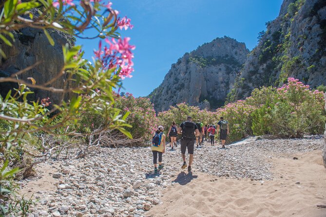Guided hike to Cala Luna, the pearl of the Gulf of Orosei - The Steep Return Walk: Where Most People Feel It
