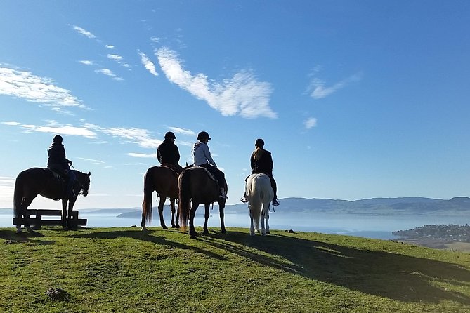 Guided Horse Trekking from Rotorua - Key things I’d circle before you go