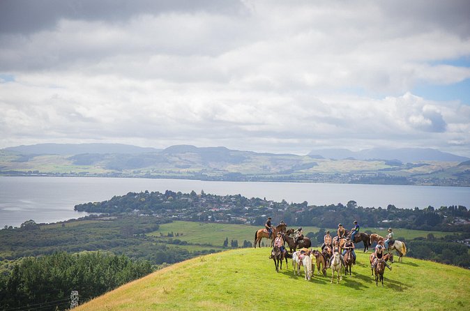 Guided Horse Trekking from Rotorua - The Rotorua horse trek that turns sightseeing into a real experience