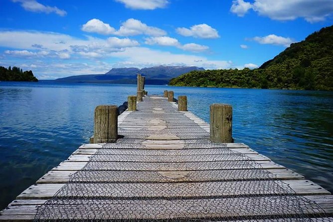 Guided Horse Trekking from Rotorua - Stop 2: an Adventure Playground break on the way