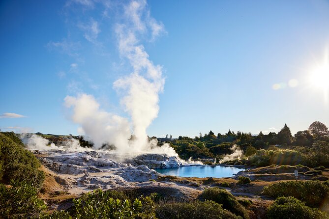 Guided Horse Trekking from Rotorua - Horses and guides: why people keep praising the calm, patient handling