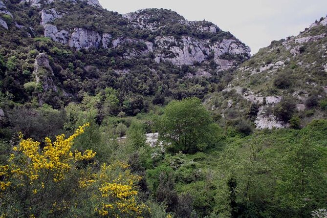 Guided Trekking to Cavagrande del Cassibile in Sicily - Price and value: what you’re paying for