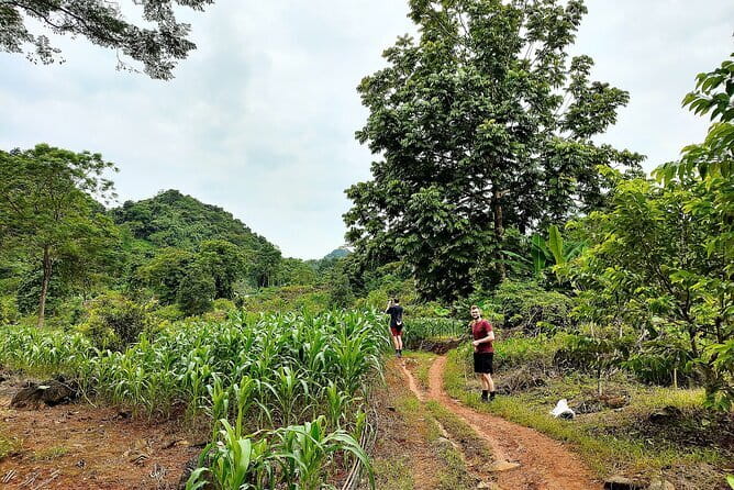 Ha Giang Loop Trekking Full Day Tour - Key Things to Know Before You Go