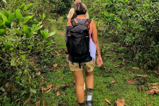 Ha Giang Loop Trekking Full Day Tour - Joining the Garden: Hands-On Farming Experience With Locals