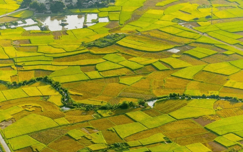 Ha Noi - Mai Chau - Pu Luong 2 Days 1 Night Trekking Tour - Quick hits before you go