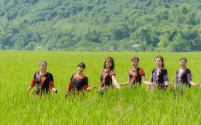 Ha Noi - Mai Chau - Pu Luong 2 Days 1 Night Trekking Tour - Day 1: Hanoi pickup, Thung Khe Pass, and Mai Chau’s stilt-house night