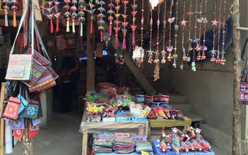 Ha Noi - Mai Chau - Pu Luong 2 Days 1 Night Trekking Tour - Guide quality: when you get Tom or Cha-level explanations