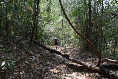 Half Day Doi Suthep Temple and short trekking on monk trail (Private Tour) - Wat Pha Lat: waterfall grounds and a quieter temple mood
