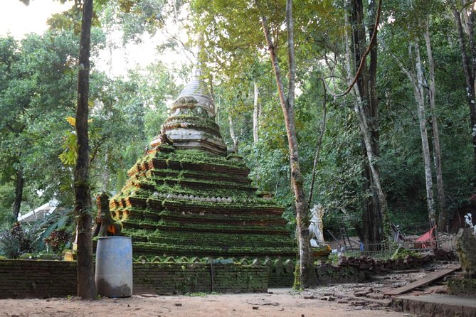Half Day Doi Suthep Temple and short trekking on monk trail (Private Tour) - The private tour setup: guide, driver, and less time stuck in transit