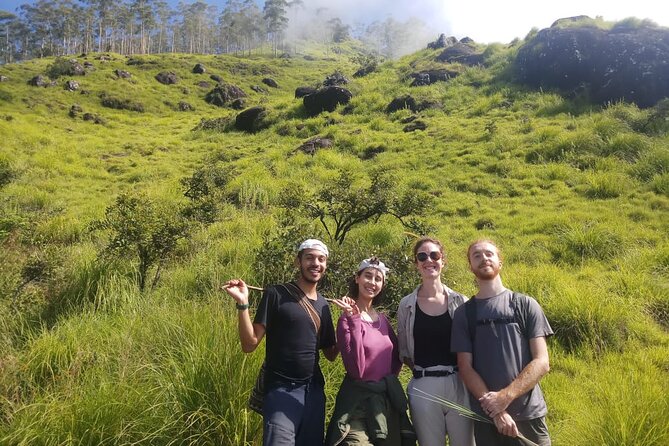 Half Day Hiking in Munnar Trekking Tour - Walking the 4–5 Hour Route in Real Terms