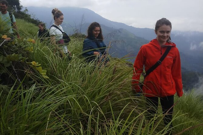 Half Day Hiking in Munnar Trekking Tour - Anaimudi Views: What to Do When the Sky Changes
